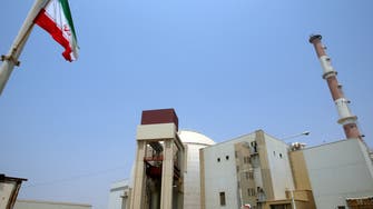 Iran's Bushehr nuclear plant back online: Official