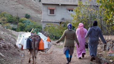 Three women walk with their donkey carrying plastic containers of water to their homes in a community in Morocco, November 6, 2019. (File photo: Reuters)