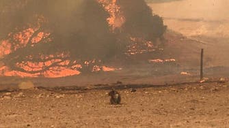 Heatwave, strong winds fan Australia bushfire threat