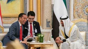 الإمارات وإندونيسيا توقعان اتفاقيات بـ23 مليار دولار