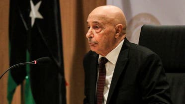 رئيس البرلمان الليبي عقيلة صالح(أرشيفية- فرانس برس)