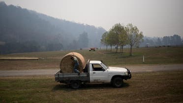 A farmer loads a stack of hay, donated by farmers of the region, on her truck in the town of Cobargo. (Reuters)