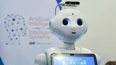 A robot from the Artificial Intelligence and Intelligent Systems (AIIS) laboratory of Italy's National Interuniversity Consortium for Computer Science (CINI) is displayed at the 7th edition of the Maker Faire 2019, the greatest European event on innovation, on October 18, 2019 in Rome. Andreas SOLARO / AFP