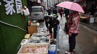 WHO probe team visits Wuhan market at heart of first COVID-19 virus outbreak         