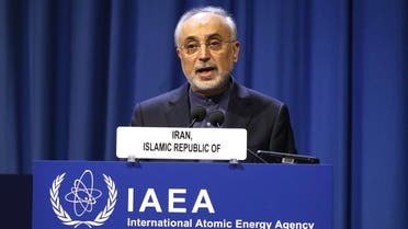 Iran's Vice-President and Head of the Atomic Energy Organisation Ali Akbar Salehi delivers his speech at opening of the general conference of the IAEA. (AP)