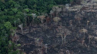 An aerial view of a tract of Amazon jungle after it was cleared by farmers in Itaituba, Para, Brazil September 26, 2019. (Photo: Reuters)