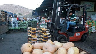 Israel bans Palestinian agricultural exports via Jordan