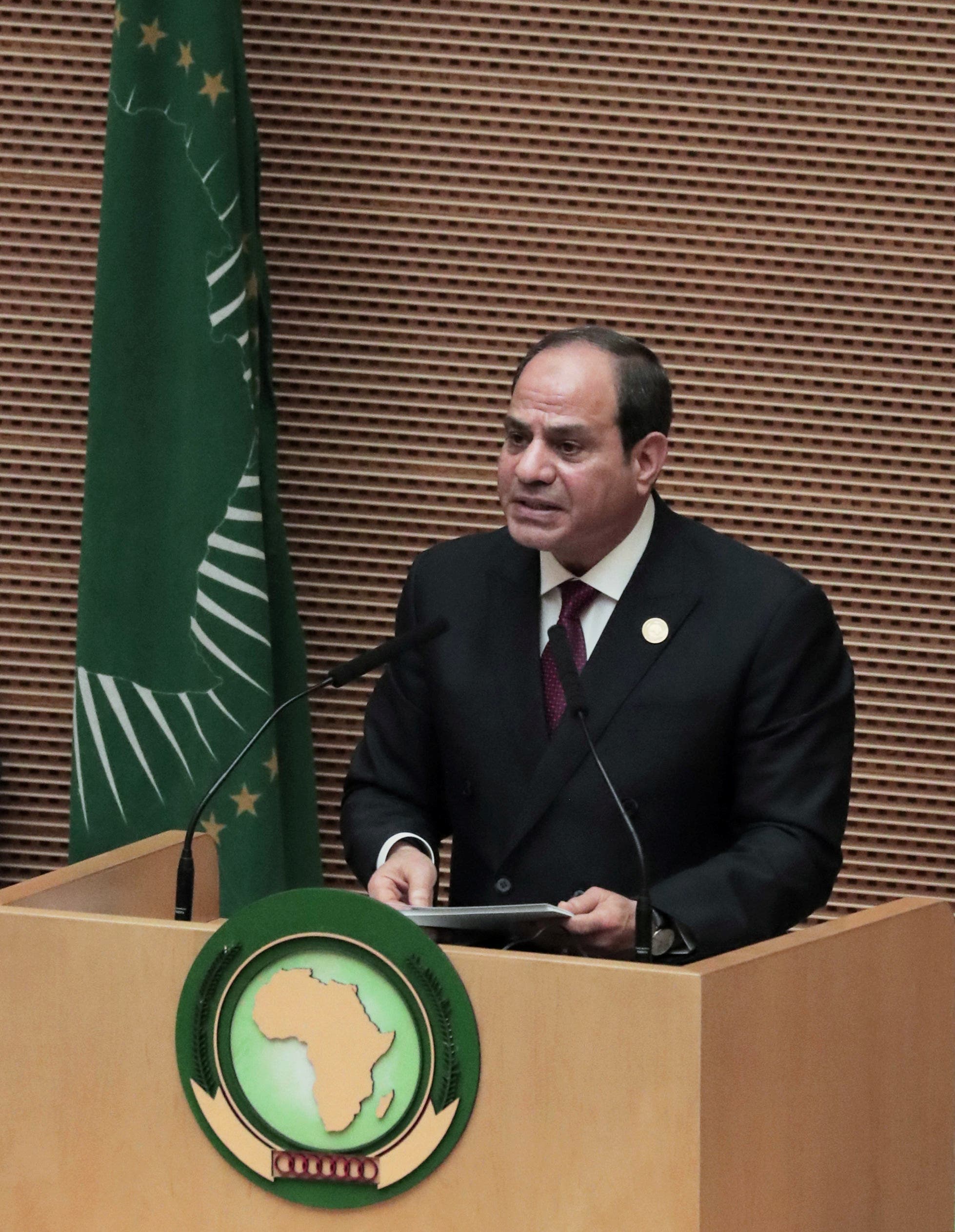 الرئيس عبدالفتاح السيسي دعا لتشكيل قوة إفريقية لمكافحة الإرهاب