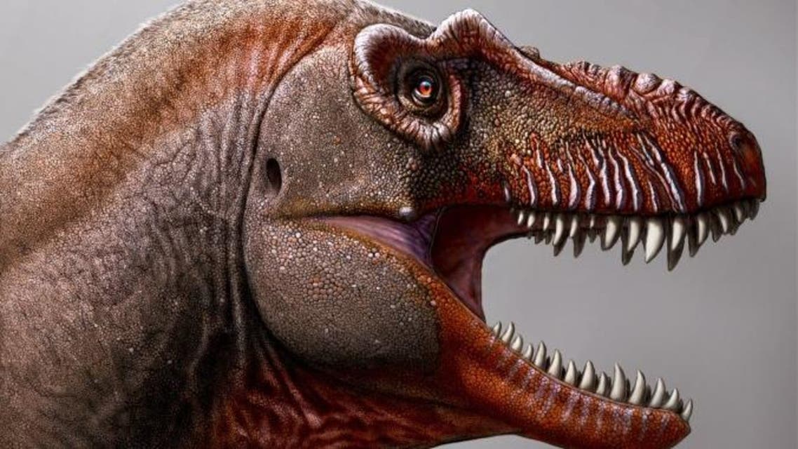 An Illustration by Julius Csotonyi of a Thanatotheristes degrootorum, a newly-discovered species of T-Rex. (Courtesy/ The Royal Tyrrell Museum)