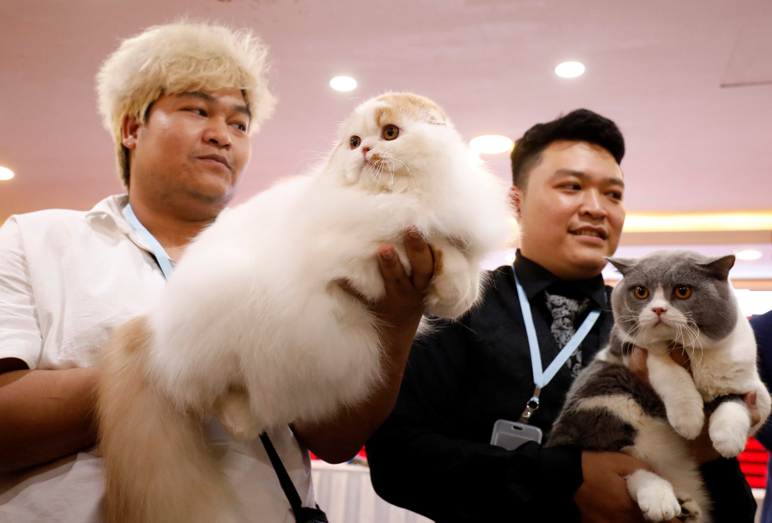 Nguyen Xuan Son of Vietnam and Tawin Prai of Thailand show their cats during the Vietnam's first cat show in Hanoi, Vietnam February 16, 2020. REUTERS