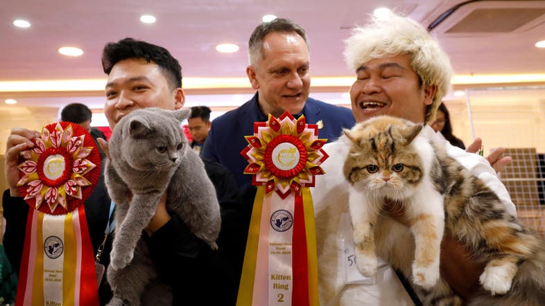 Fancy Felines Hit Hanoi For First Ever Cat Show Al Arabiya English