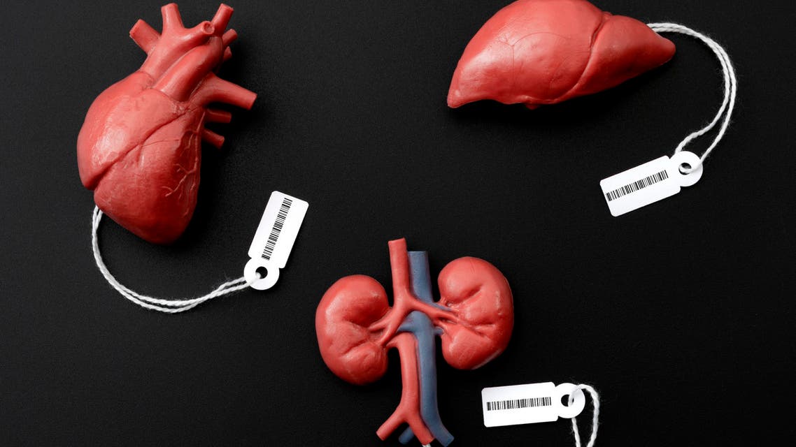 Modern day slavery, illegal trade of human organs on the black market and forced organ harvesting of death row inmates concept theme with a liver, heart and kidney with price tags and a barcode stock photo