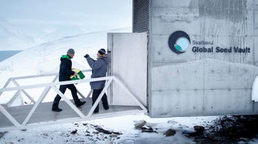 This file photo taken on March 1, 2016 shows a man carrying one of the newly arrived boxes containing seeds from Japan and USA into the international gene bank Svalbard Global Seed Vault (SGSV), Norway. (File photo: AFP)