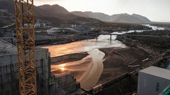 Egypt, Sudan back Congo to lead Nile dam talks  