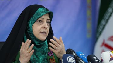 Vice President of Iran for Women and Family Affairs, Massoumeh Ebtekar, speaks to reporters during a press conference in Tehran on January 29, 2019. (AFP)