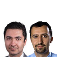 Saeed Ghasseminejad and Alireza Nader