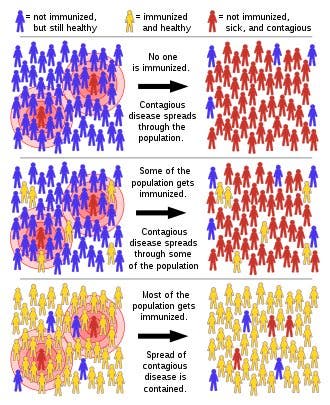 Herd Immunity diagram - Dr Masshor from Twitter (uncropped!) 