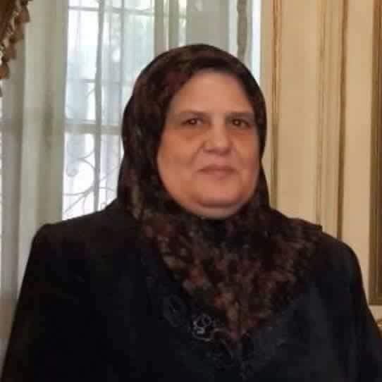 النائبة هيام عامر