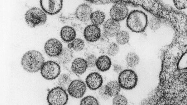 What is hantavirus and how dangerous is it compared to the coronavirus?