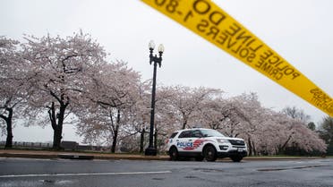A Washington, D.C. Metropolitan Police vehicle is parked on the other side of a tape police line along the Tidal Basin as cherry blossoms cover the trees, in Washington, March 23, 2020.