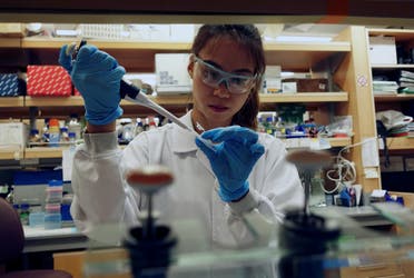 A researcher works in a lab at the Duke-NUS Medical School, which is developing a way to track genetic changes that speed testing of vaccines against the coronavirus disease (COVID-19), in Singapore. (Reuters)