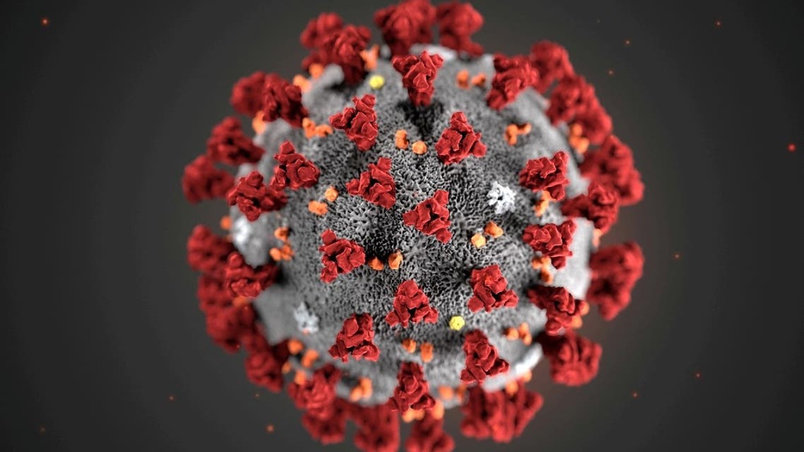 An illustration, created at the Centers for Disease Control and Prevention (CDC), depicts the 2019 Novel Coronavirus. (Reuters)