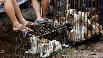 China reclassifies dogs as pets, not livestock, in post-coronavirus regulatory push