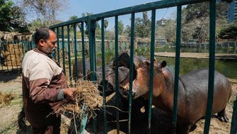 Coronavirus: Keepers, animals keep each other company at Cairo’s shuttered zoo