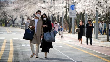 A couple takes a walk near a cherry blossom trees street, closed to avoid the spread of the coronavirus disease (COVID-19), in Seoul, South Korea. (Reuters)