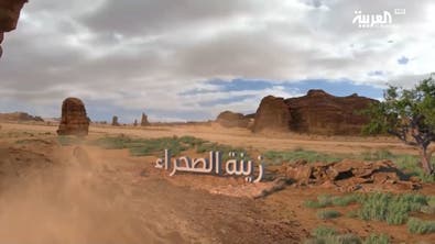 على خطى العرب | زينة الصحراء - الرحلة السادسة الحلقة 21