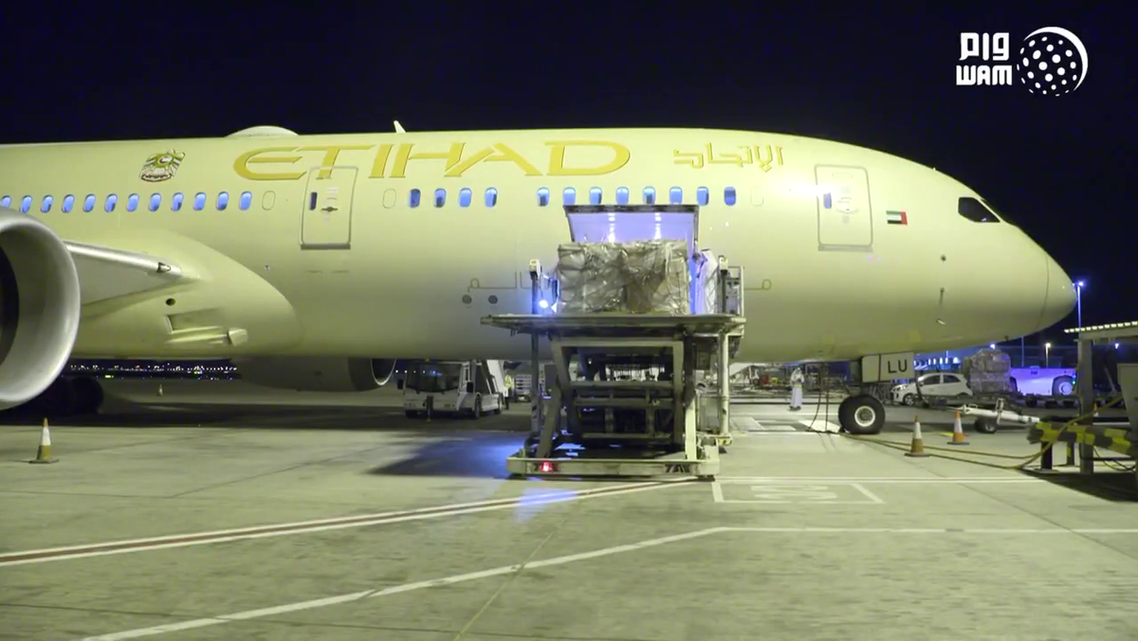UAE sends 10 tons of medical supplies to Italy to help counter coronavirus