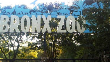 Bronx Zoo Coronavirus