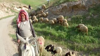 Coronavirus: Isolation a double-edged sword for West Bank’s Bedouin herders