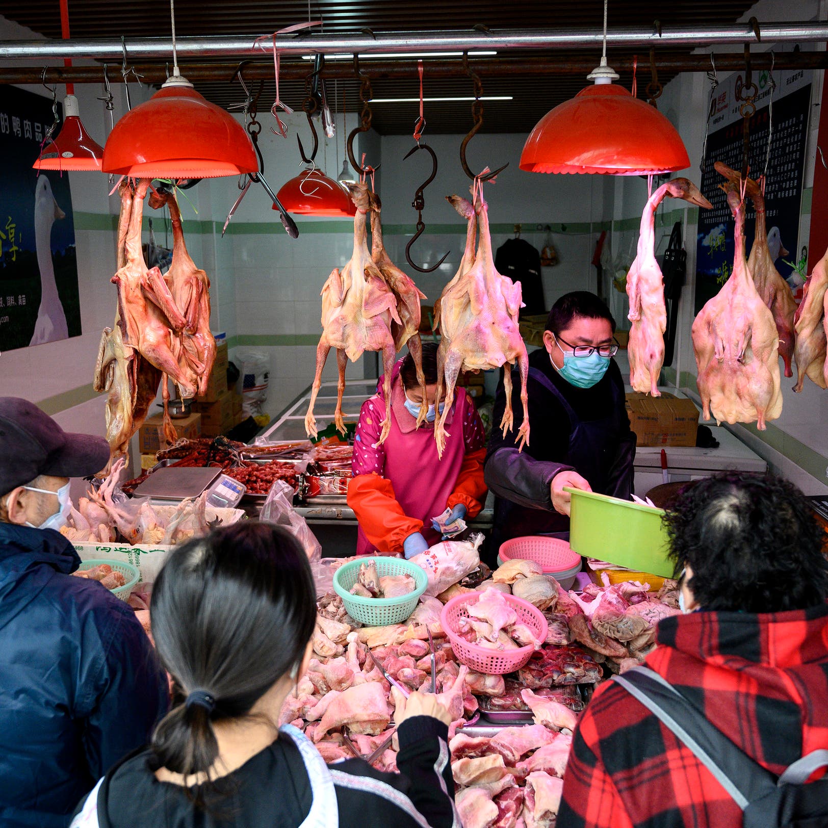نواب أميركيون للصين: أغلقوا أسواق الحيوانات البرية