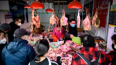أسواق لحوم الحيةانات البرية - الصين
