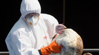 US detects its first case of virulent H7N3 bird flu in commercial poultry since 2017