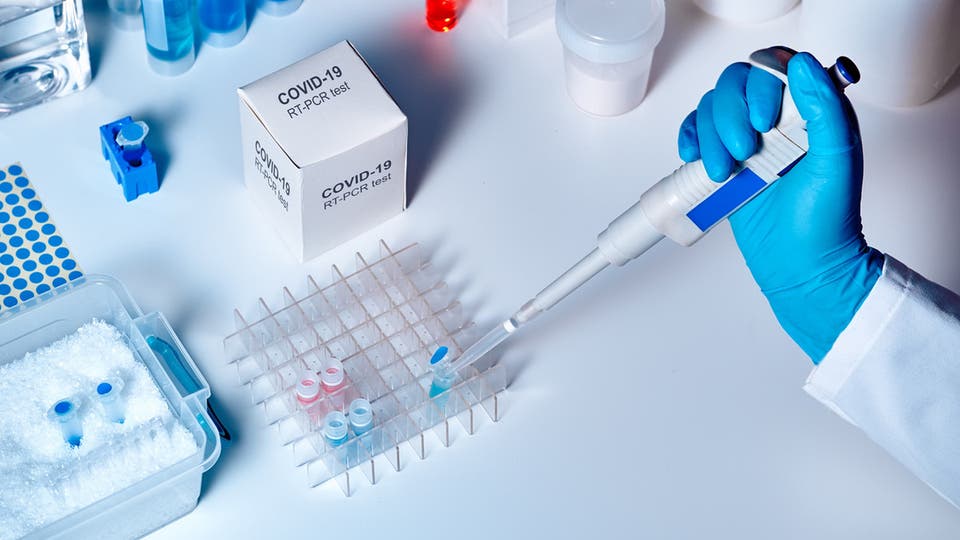 دراسات علمية حديثة تؤكد وجود طفرة جديدة من فيروس كورونا وتشرح مدى خطورته ) راسات علمية حديثة تؤكد وجود طفرة جديدة من فيروس كورونا وتشرح مدى خطورته