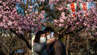 A couple take a selfie with cherry blossoms at Ueno park in the Japanese capital Tokyo. (AFP)