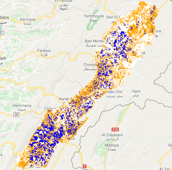 Satellite imagery shows cereal crop coverage of fields 0.5 hectares and larger (in blue) in Lebanon in 2019. (Supplied)