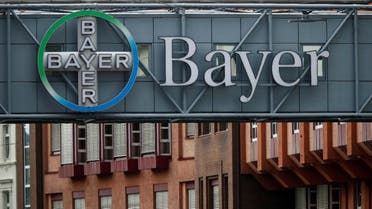 A bridge is decorated with the logo of a Bayer AG, a German pharmaceutical and chemical maker in Wuppertal, Germany August 9, 2019. (Reuters)
