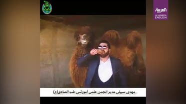 THUMBNAIL_ Iranian ‘Islamic medicine specialist’ says camel urine cures coronavirus 
