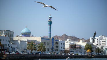 Gulls in Muscat, Oman. (Mostafa_meraji, Unsplash)
