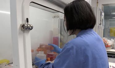 A person is working on a potential coronavirus vaccine, untaken by Oxford University in England, on Thursday April 23, 2020. (AP)
