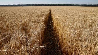 Saudi Arabia makes first wheat purchase from farm investment in Ukraine