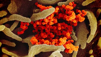 Coronavirus may never go away like HIV, says WHO
