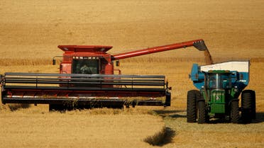 In this June 15, 2018 photo, winter wheat is harvested in a field farmed by Dalton and Carson North near McCracken, Kansas, USA. (File photo: AP)