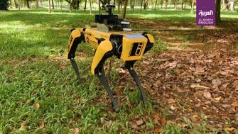 Coronavirus: Singapore unveils robot to enforce safe distancing among park-goers