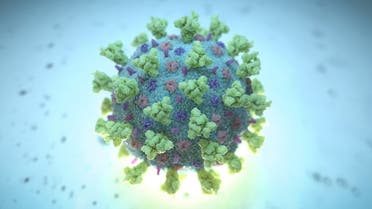 A computer image of a model representative of a betacoronavirus which is the type of virus linked to COVID-19, better known as the coronavirus. (NEXU Science Communication via Reuters)