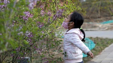 A girl smells blooming flowers at a park as she removed her protective face mask, as the country is hit by an outbreak of the novel coronavirus disease (COVID-19), in Beijing. (Reuters)
