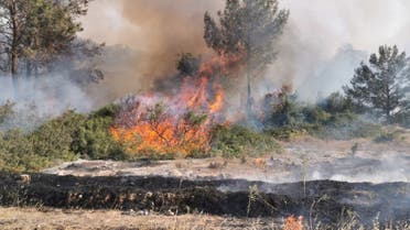 حرائق الغابات في الشطر الشمالي من قبرص